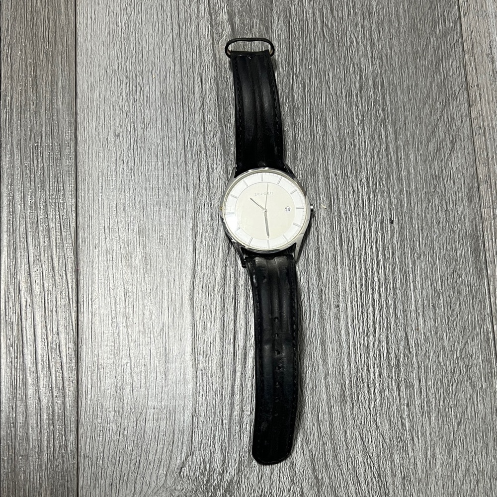 Skagen Elegant Black and White Watch